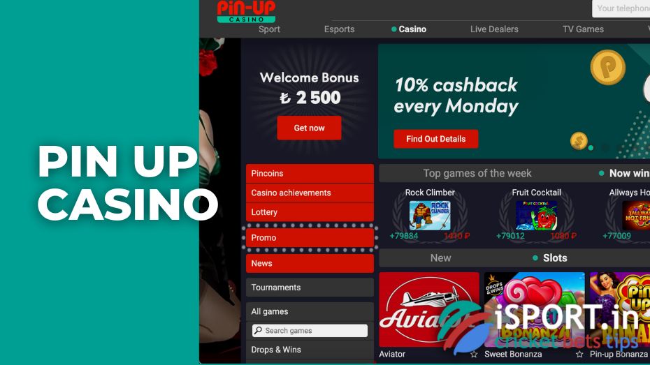 casino pin up online game